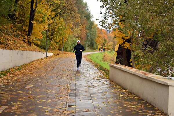По словам синоптиков, период более сухой и прохладной погоды прошел. Ближайшие ночи и дни будут более теплыми, но и более влажными. - Sputnik Латвия