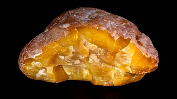 Янтарный самородок Рекордсмен - Sputnik Латвия