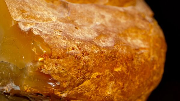 У &quot;Рекордсмена&quot; нетипичный для янтарных самородков большой скол, который позволяет во всей красе увидеть цвет камня. - Sputnik Латвия