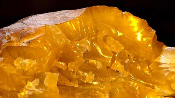 Балтийский янтарь — это застывшая живица древних реликтовых деревьев возрастом 35—45 млн лет. Около 90% разведанных запасов балтийского самоцвета сосредоточено в Калининградской области. - Sputnik Латвия