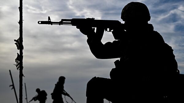 ВС России освободили Ровнополье в Запорожской области - Sputnik Латвия