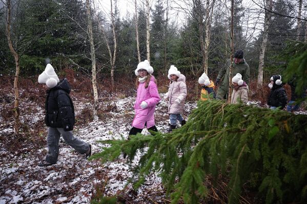 Клейнбергс и дети посадили на месте выбранных елок более пятнадцати деревьев - Sputnik Латвия