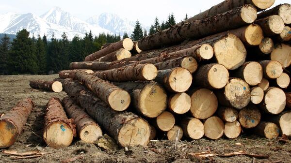 Заготовка леса  - Sputnik Латвия