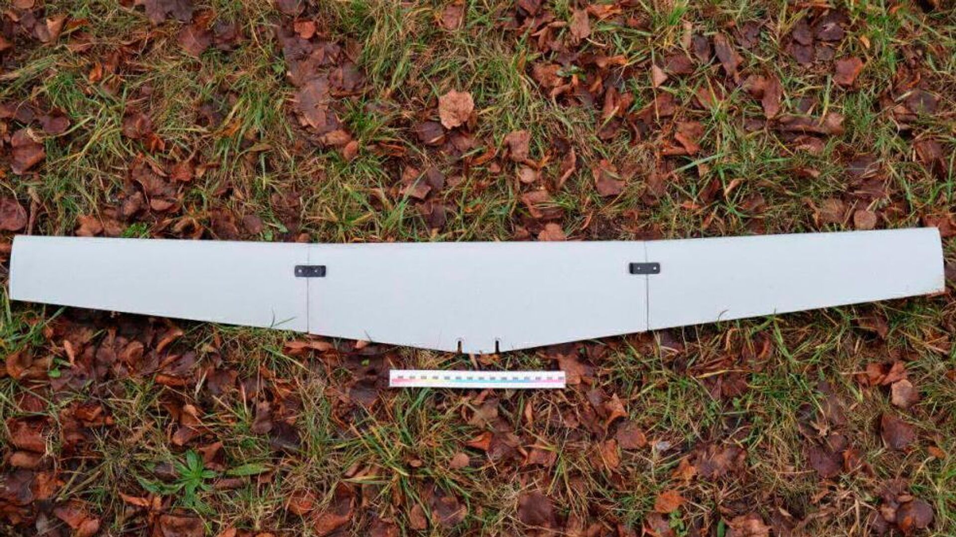 БПЛА неизвестного происхождения, обнаруженный в Гродно  - Sputnik Латвия, 1920, 01.12.2025