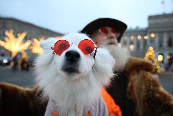 Мужчина и собака фотографируются на фоне новогодней иллюминации на улице в Санкт-Петербурге Мужчина и собака фотографируются на фоне новогодней иллюминации на улице в Санкт-Петербурге - Sputnik Латвия
