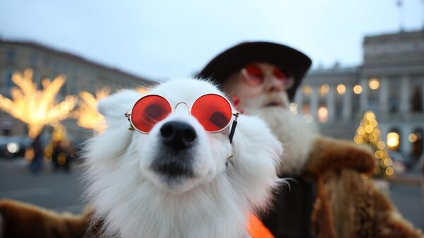 Мужчина и собака фотографируются на фоне новогодней иллюминации на улице в Санкт-Петербурге - Sputnik Латвия