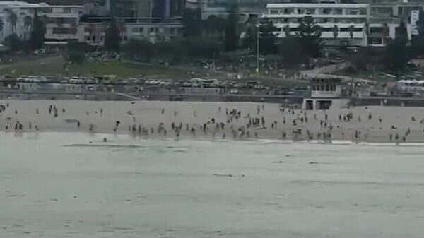 Стрельба на пляже Бонди в Сиднее - Sputnik Латвия