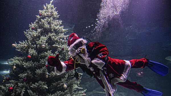 Дайвер в костюме Деда Мороза погрузился в главный морской аквариум Москвариума на ВДНХ  - Sputnik Латвия