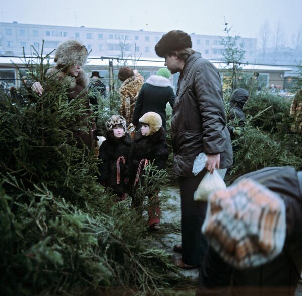 Елочный базар в Таллине, 30 декабря 1980 года. - Sputnik Латвия