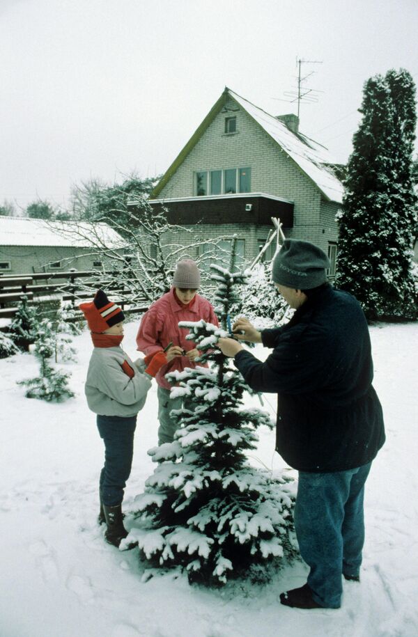 Лютеранское Рождество в Эстонии. Семья наряжает рождественскую елку во дворе своего дома, 1990 год. - Sputnik Латвия