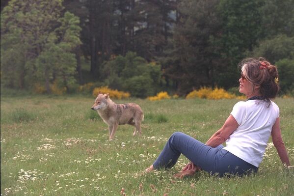 Брижит Бардо в центре изучения волков Жеводан во Франции. - Sputnik Латвия