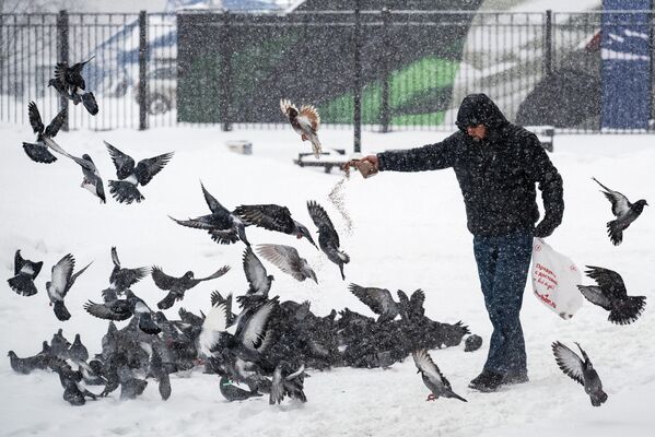 Мужчина кормит голубей во время снегопада в Москве, Россия  - Sputnik Латвия