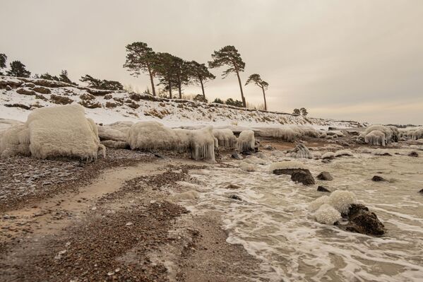 Широкий пляж с белым песком зимой приобретает особое очарование, часто с меньшим количеством снега, но с сильными ветрами. - Sputnik Латвия