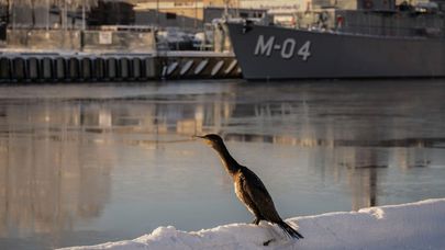 Зимние виды Лиепаи в 2026 году