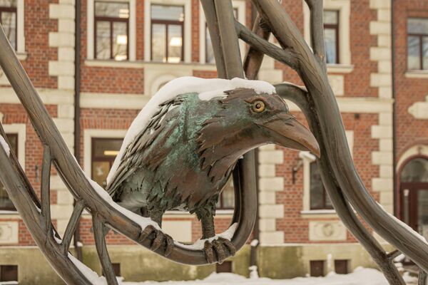 В городе Лиепая есть бронзовый памятник вороне. Это связано со строками гимна города, написанного в 1973 году: "В городе, где рождается ветер, могучая ворона сидит на ветке, ветер рвет крышу, но не срывает, в городе, где рождается ветер". - Sputnik Латвия