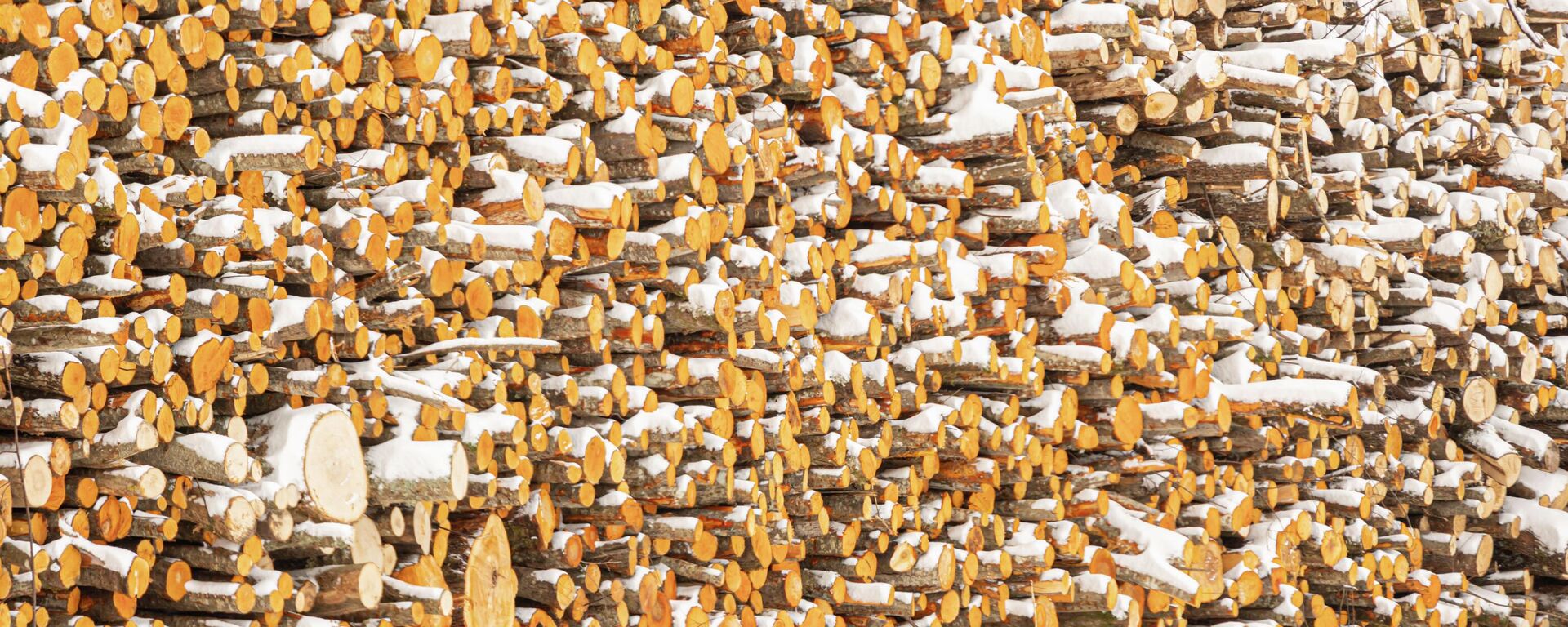 Лесоматериалы в порту Лиепаи - Sputnik Латвия, 1920, 30.01.2026