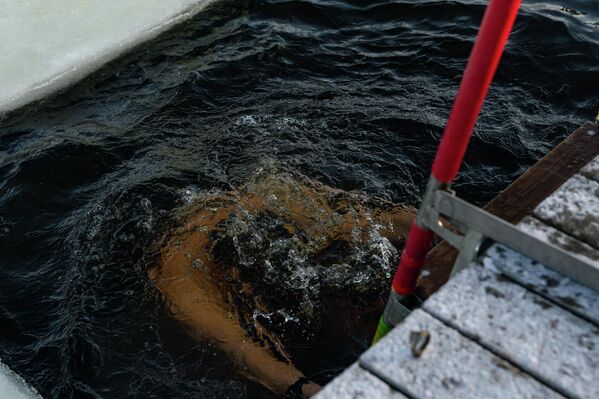 Некоторые верующие окунались в прорубь с головой  - Sputnik Латвия