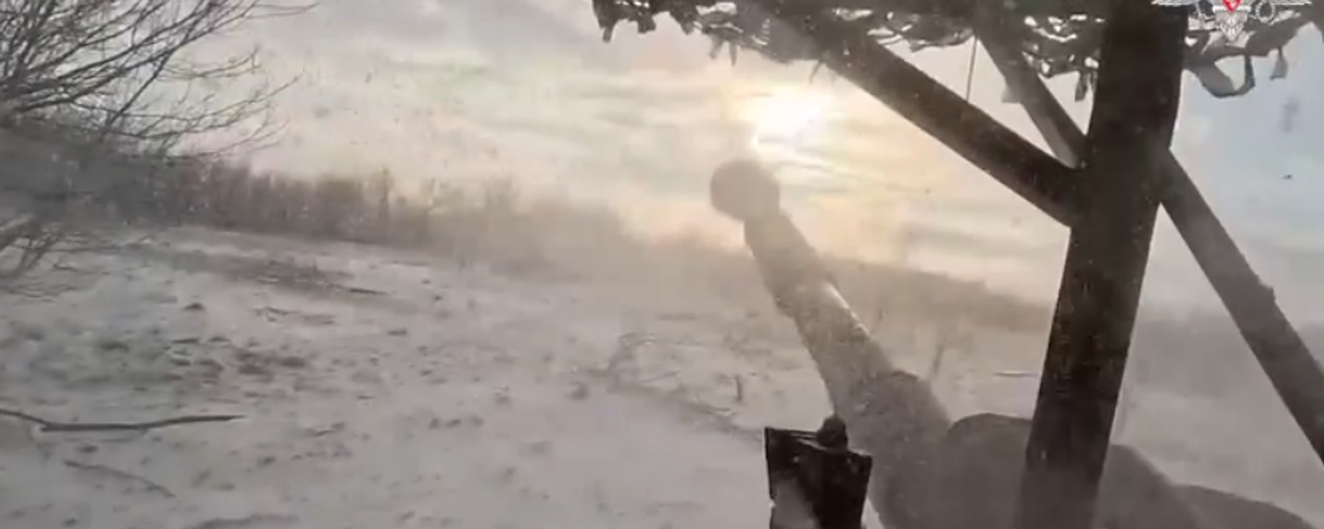 Гвоздика и Акация пробивают оборону ВСУ: артиллерия ВС РФ в деле - Sputnik Латвия, 1920, 11.02.2026