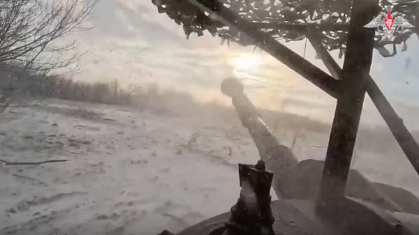 Гвоздика и Акация пробивают оборону ВСУ: артиллерия ВС РФ в деле - Sputnik Латвия