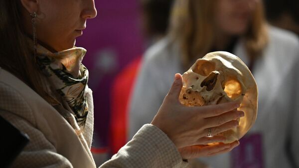 Московский фестиваль Наука 0+Московский фестиваль Наука 0+ - Sputnik Латвия