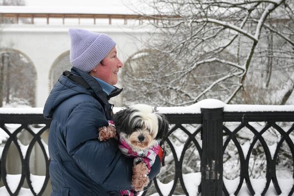 Женщина гуляет с собакой по зимней Москве - Sputnik Латвия