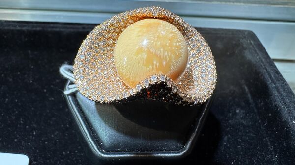 Международная выставка ювелирных изделий в Вильнюсе Amber Trip 2026 - Sputnik Латвия