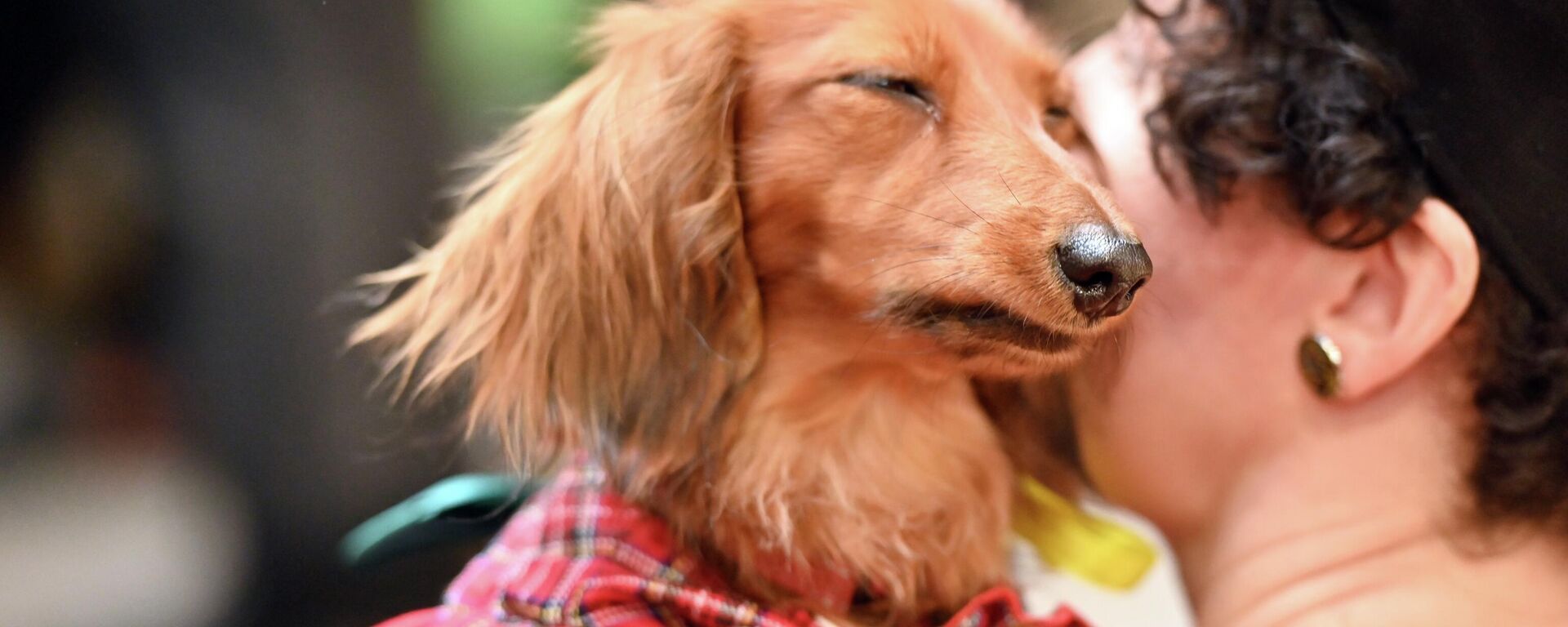 Забеги такс в Вильнюсе - Sputnik Латвия, 1920, 13.03.2026