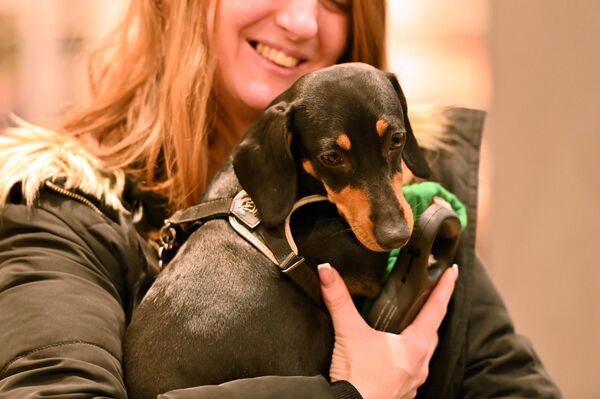 В День всех влюбленных четвероногие друзья устроили праздник для зрителей. - Sputnik Латвия