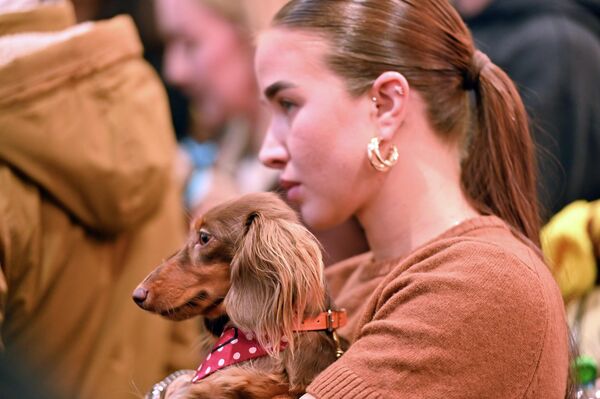 Пока милые питомцы готовились к старту, их хозяева волновались едва ли не больше самих участников. - Sputnik Латвия