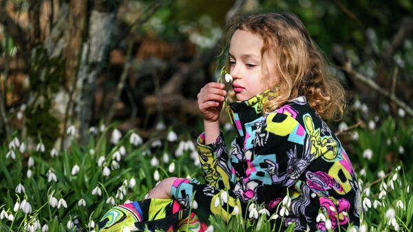 Цветение подснежников на горе Аю-Даг в Крыму - Sputnik Латвия