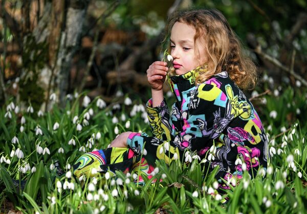 Цветок состоит из шести лепестков — трех наружных молочно-белого цвета и трёх меньшего размера внутренних с зелеными полосками и пятнами. - Sputnik Латвия