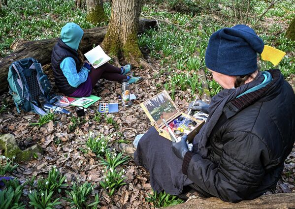 Цветение подснежников на горе Аю-Даг в Крыму - Sputnik Латвия