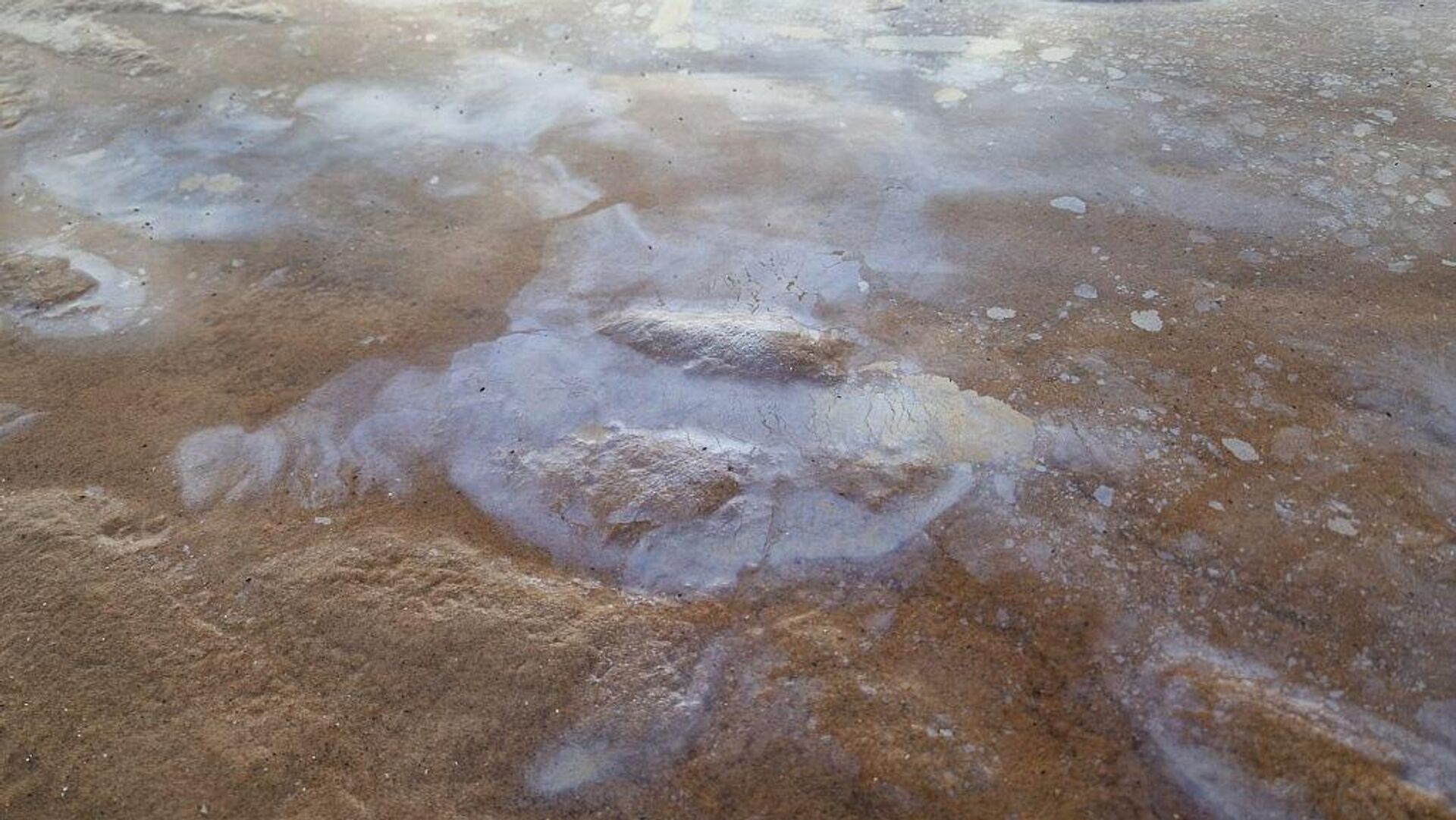 Нефтяные пятна в Скулте - Sputnik Латвия, 1920, 12.03.2026