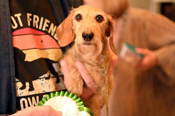 Посетители выставки могли не только полюбоваться редкими животными, но и насладиться насыщенной образовательной и развлекательной программой. - Sputnik Латвия