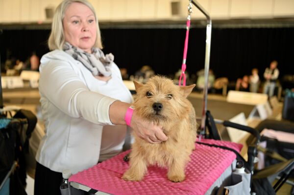 Посетители выставки могли лично пообщаться со специалистами по уходу за животными. - Sputnik Латвия