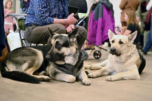 Мероприятие привлекло участников из самых разных стран, поэтому конкуренция на рингах была огромная. - Sputnik Латвия