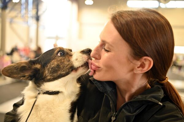 На фото: участница со своим питомцем на международной выставке собак в Вильнюсе. - Sputnik Латвия