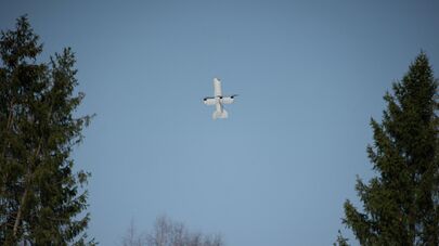 Испытания БПЛА на полигоне "Селия"