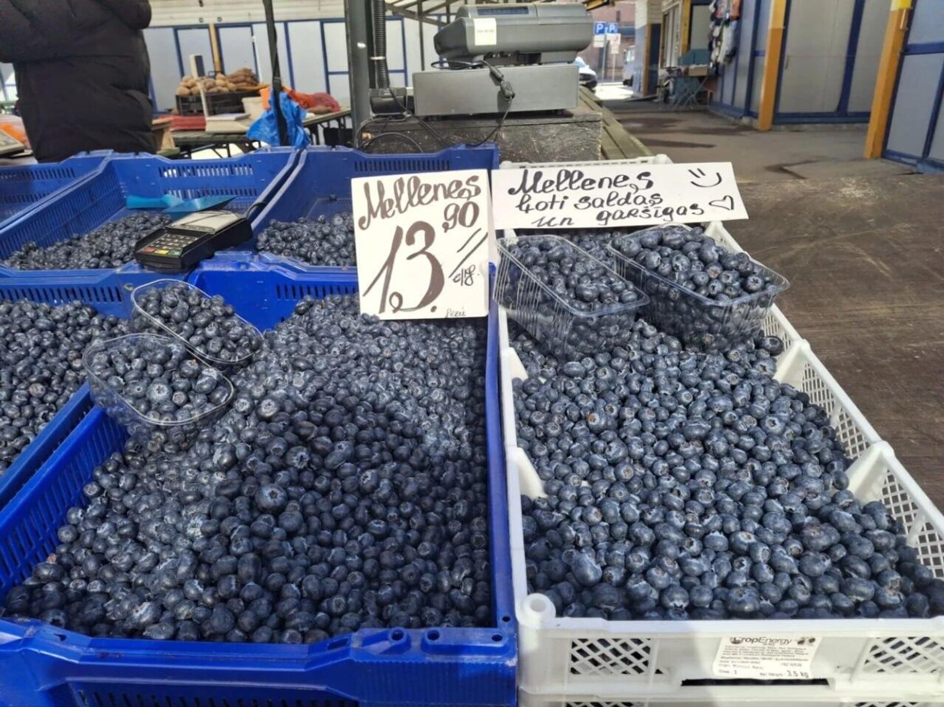 Продажа черники на Центральном рынке в Риге  - Sputnik Латвия, 1920, 20.03.2026