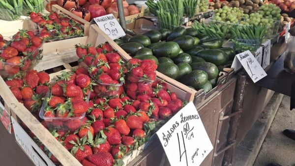 Продажа греческой клубники на Центральном рынке в Риге - Sputnik Латвия