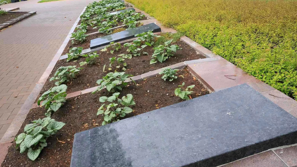 Захоронения советских воинов в центре Шяуляя - Sputnik Латвия