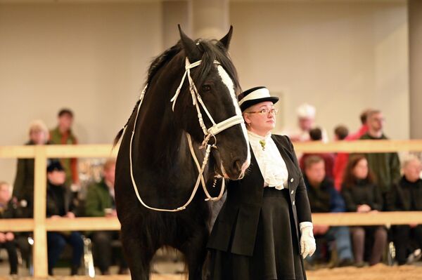 На фото: участники конной выставки Žirgų Grand Show - 2026. - Sputnik Латвия