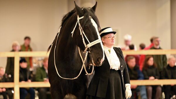 Конная выставка  Žirgų Grand Show - 2026 в Вильнюсе - Sputnik Латвия
