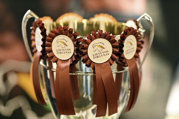 Программа включала соревнования тяжеловесов - першеронов, шайров, литовских тяжеловозов. - Sputnik Латвия