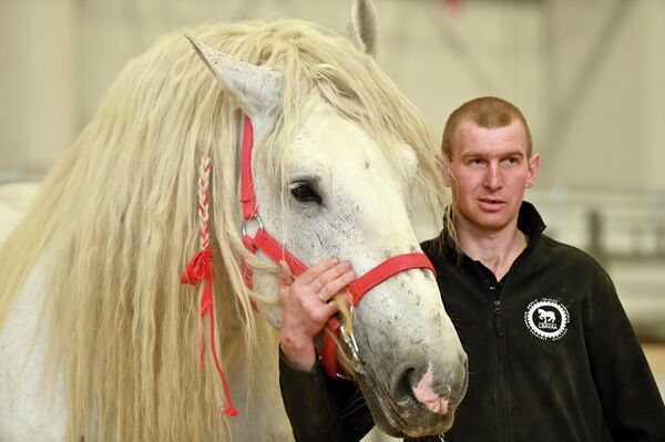 Гости выставки могли получить основную информацию о самых разных лошадях. - Sputnik Латвия