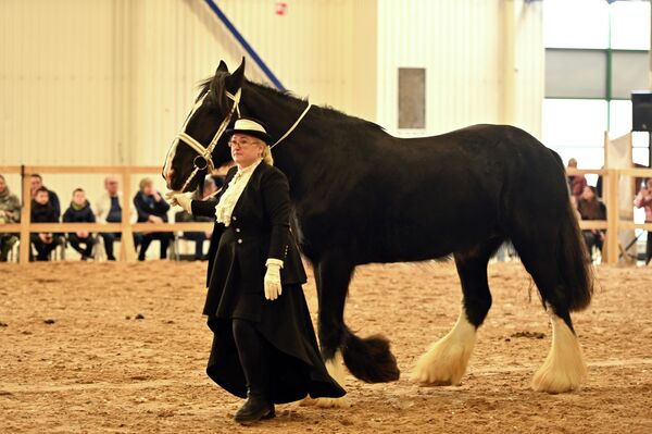 На фото: участники конной выставки Žirgų Grand Show - 2026. - Sputnik Латвия