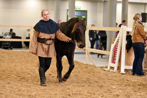 Гости выставки смогли увидеть рыцарские представления с демонстрацией владения копьем и мечом, стрельбу по мишеням и другие элементы средневековых турниров. - Sputnik Латвия