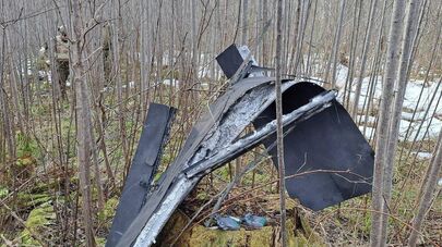 Украинский дрон, упавший в Краславском крае Латвии