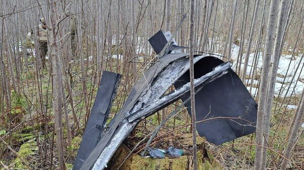 Украинский дрон, упавший в Краславском крае Латвии - Sputnik Латвия