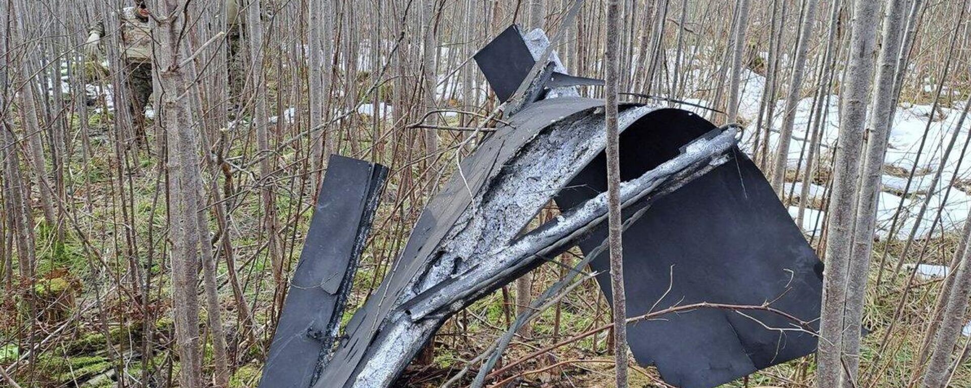 Украинский дрон, упавший в Краславском крае Латвии - Sputnik Латвия, 1920, 25.03.2026